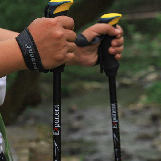 Carbonlite Hiking Walking Poles